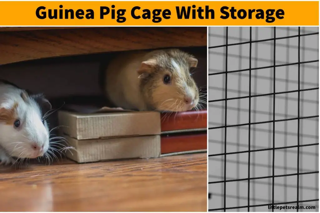 Guinea pig cage with storage underneath