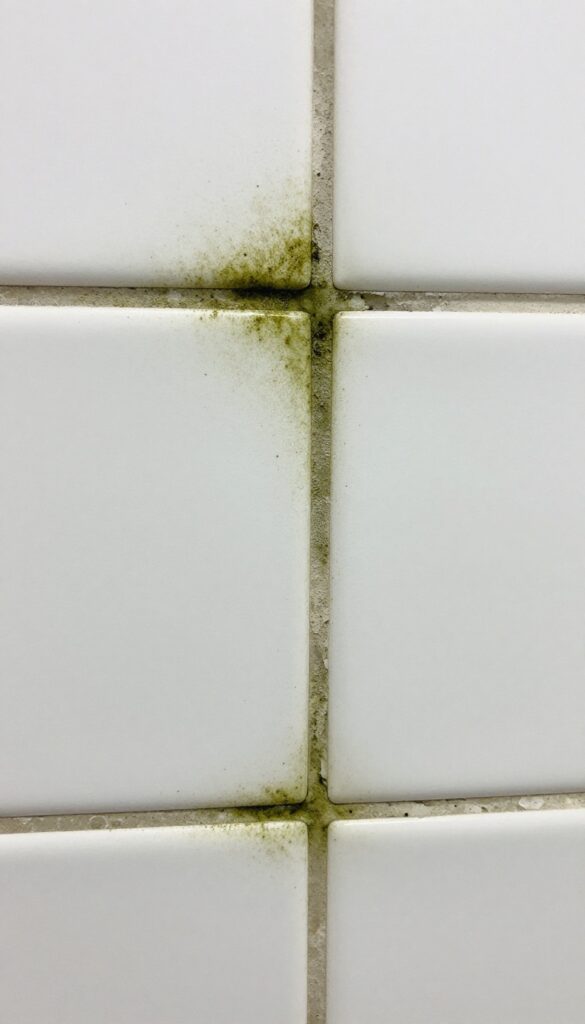 Close-up of moldy shower grout with dark streaks and crumbling areas under natural light